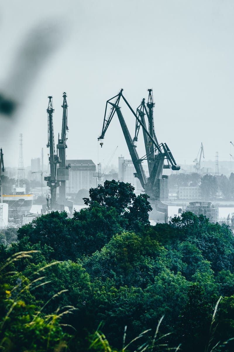 Foggy morning view of Gdańsk harbor with cranes and green foliage.